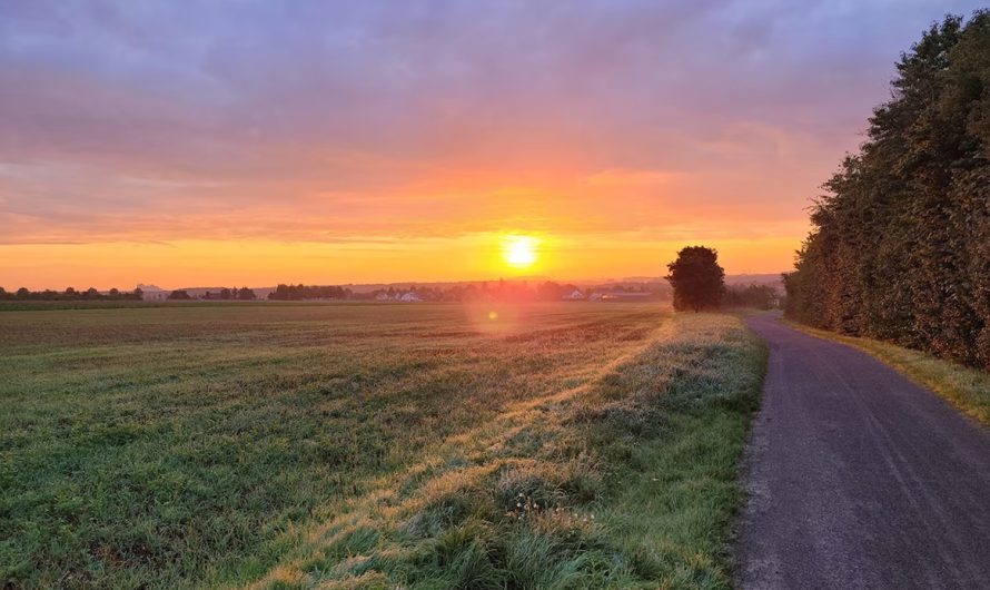 Les activités de plein air à ne pas manquer autour de Hannover : Un guide pour les amoureux de la nature